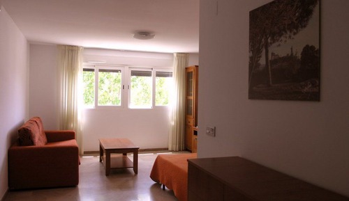 Estudio estándar, 1 habitación, accesible para personas con discapacidad, cocina