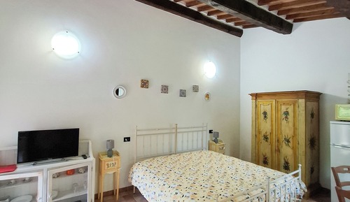 Estudio estándar, 1 habitación, vistas al jardín