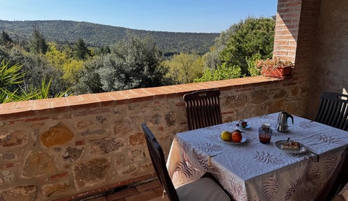 Apartamento estándar, vistas al jardín