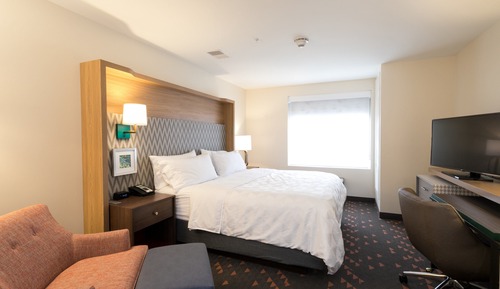 Habitación estándar, 1 cama de matrimonio grande (Walk-In Shower)