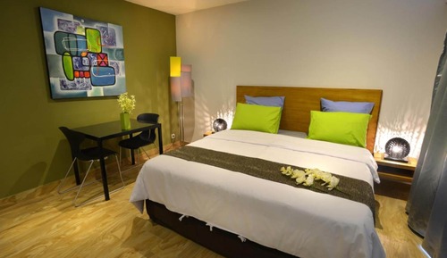 Suite estudio Deluxe, accesible para personas con discapacidad, vistas al jardín