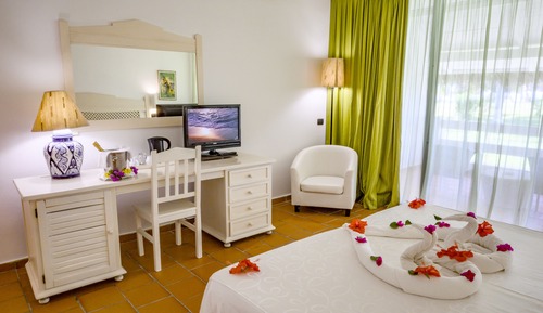 Habitación clásica doble de uso individual, 1 cama de matrimonio grande, vistas al jardín