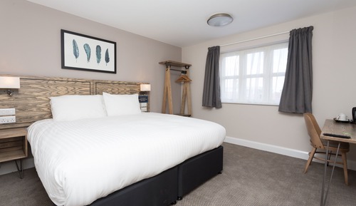 Habitación con 1 cama doble o 2 individuales, accesible para personas con discapacidad