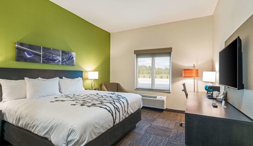 Habitación estándar, 1 cama de matrimonio grande, no fumadores