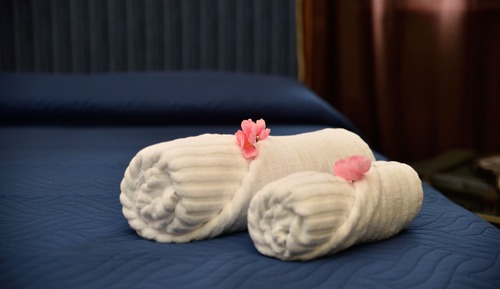 Habitación de lujo, vistas al jardín