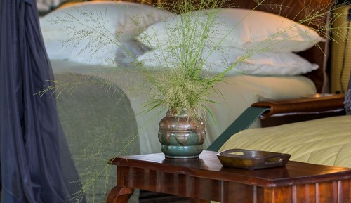 Tienda de lujo, piscina privada