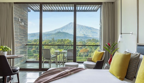 Suite junior (Red Level (2+1))