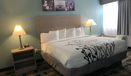 Habitación estándar, 1 cama de matrimonio grande, no fumadores