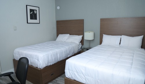 Habitación estándar doble, 2 camas dobles