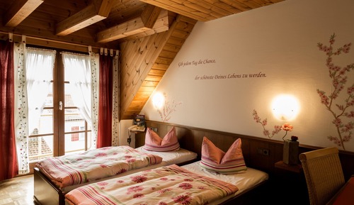 Habitación clásica con 1 cama doble o 2 individuales