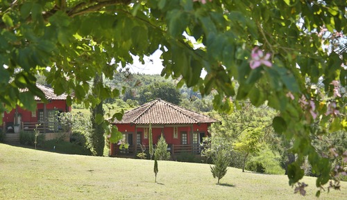 Habitación Deluxe, vistas al jardín (Fenix)