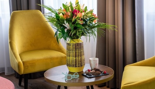 Habitación superior, vistas a la ciudad (Space Family)