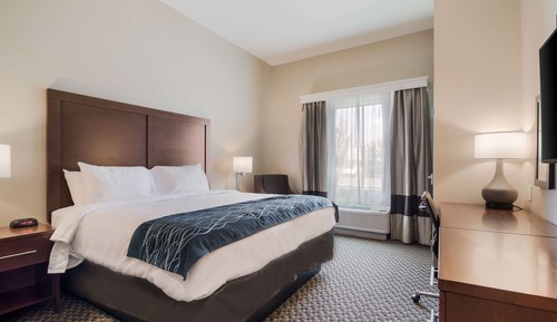 Habitación estándar, 1 cama de matrimonio grande, no fumadores