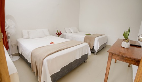 Habitación clásica doble, 2 camas dobles, no fumadores, vistas al jardín