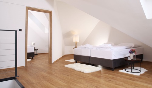 Luxury Apartment with Sauna (1)