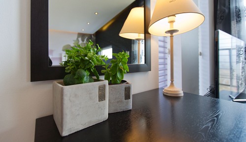 Habitación (Apple Mint)