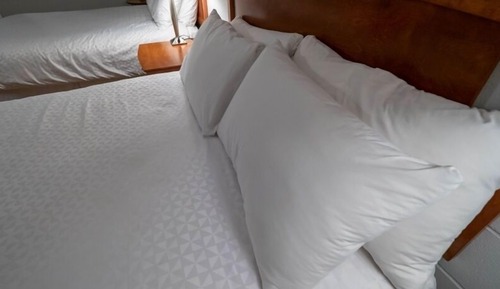 Habitación económica, 2 camas dobles, accesible para personas con discapacidad, no fumadores