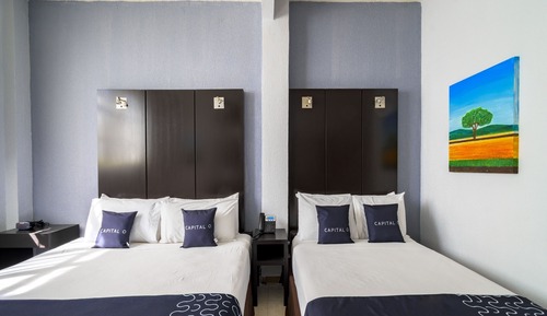 Habitación individual estándar, 1 cama individual