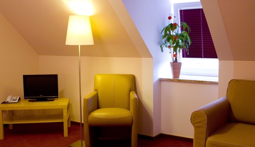 Habitación doble, 1 cama de matrimonio, vistas al jardín