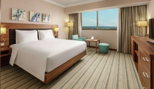 Habitación, 1 cama de matrimonio grande