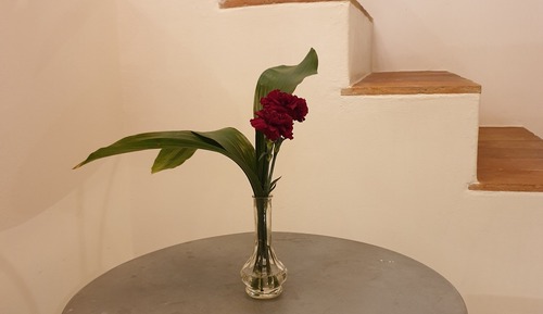 Habitación Deluxe, 1 cama de matrimonio grande con sofá cama, no fumadores, vistas al jardín (H1)