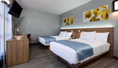 Habitación, 2 camas dobles, no fumadores