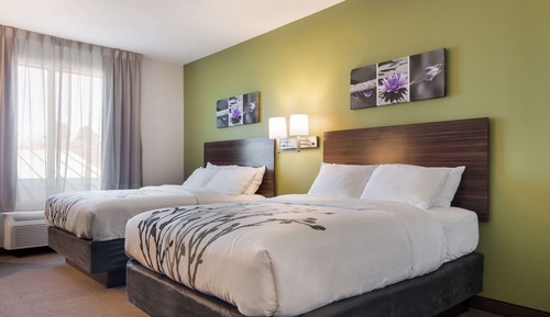 Habitación estándar, 2 camas de matrimonio, no fumadores