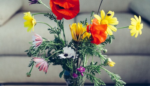 Habitación de lujo, planta baja (Brezza Marina)