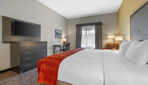 Habitación estándar, 1 cama de matrimonio grande, no fumadores, frigorífico