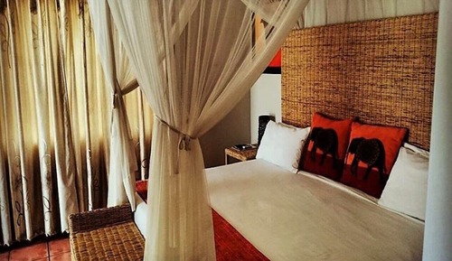 Premier Room, 1 Bedroom, Garden View