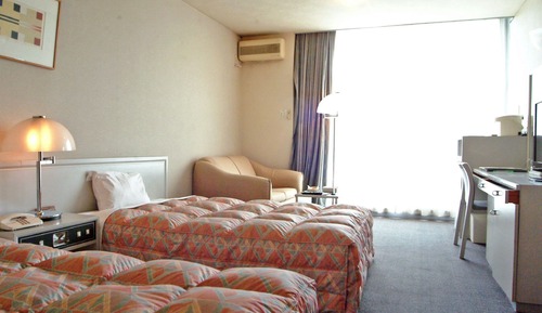 Habitación estándar con 2 camas individuales, no fumadores (South Wing)