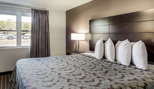 Habitación estándar, 1 cama de matrimonio grande, no fumadores