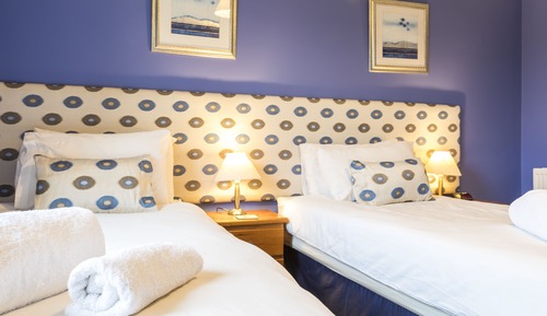 Habitación estándar con 1 cama doble o 2 individuales, baño privado (no dogs)