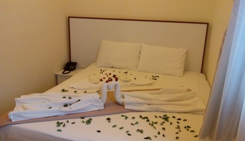 Apartamento, 1 habitación, cocina básica