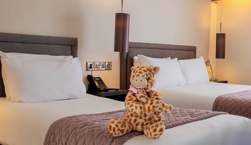 Habitación superior con 2 camas individuales