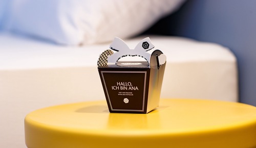 Habitación Deluxe doble