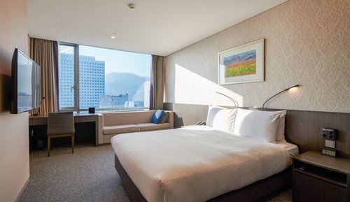 Habitación estándar doble (Bigger than most in Seoul)