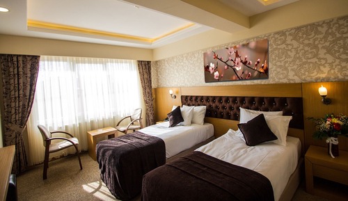 Habitación individual estándar