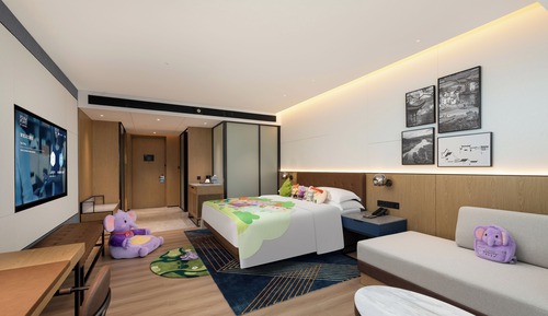 Habitación familiar, 1 cama de matrimonio grande