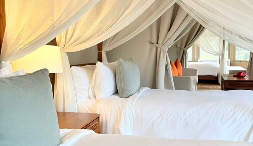 Tienda, 2 habitaciones (Suite)