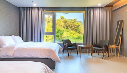 Habitación Deluxe con 2 camas individuales