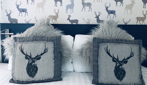 Habitación con 1 cama doble o 2 individuales, baño privado