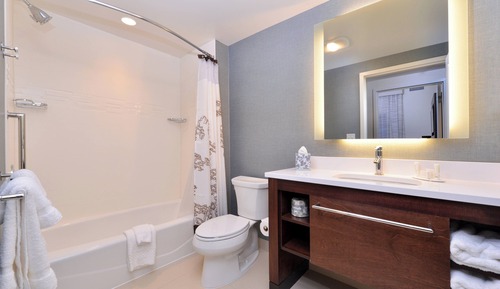 Suite, 1 habitación (Mobility/Hearing Access, Roll-In Shwr)