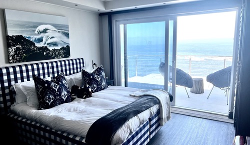 Habitación (Pansy Shell)