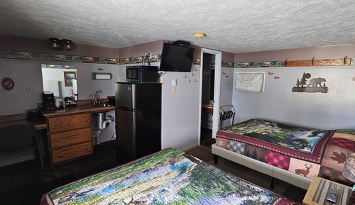 Habitación individual estándar, 2 camas dobles, cocina básica, planta baja