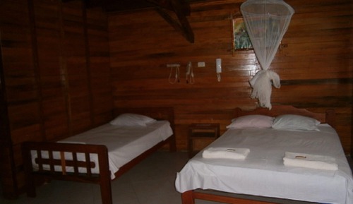 Habitación con 2 camas individuales, vistas al jardín