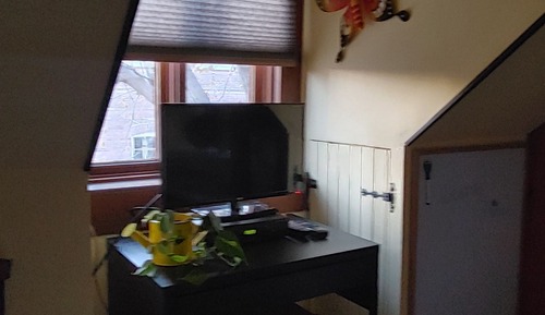 Habitación individual básica, 1 cama doble, baño compartido, vistas al parque