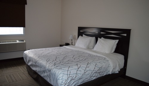 Habitación tradicional, 1 cama de matrimonio grande