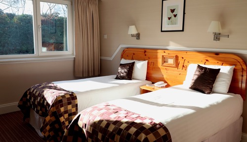 Habitación estándar con 2 camas individuales