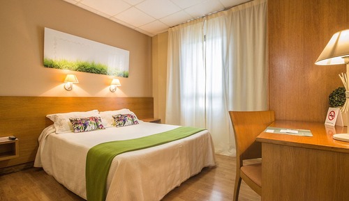 Habitación doble, 1 cama doble o 2 individuales